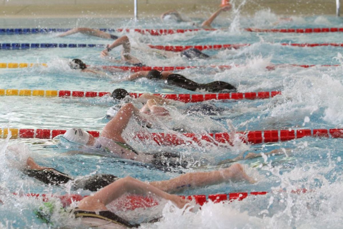 45a354c1bb5b65c0e9d2d23cfed03062